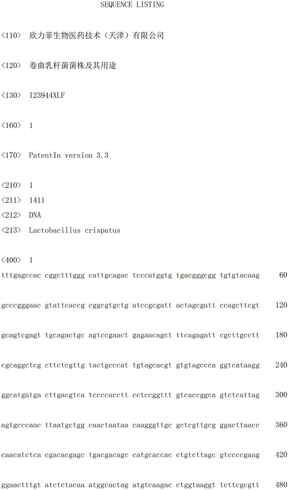 Lactobacillus crispatus strains and uses thereof