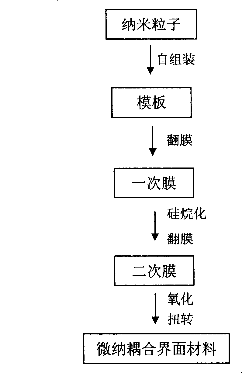 Blood compatibility material with micro nano coupling interface structure and its manufacturing method