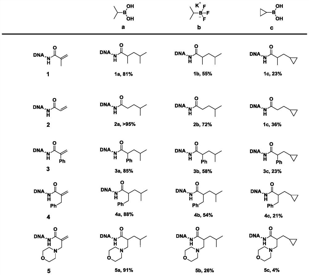 Method for constructing beta-fat substituted ketone compound through On-DNA reaction