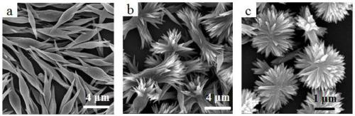 Metal-plant polyphenol complex crystal material and preparation method