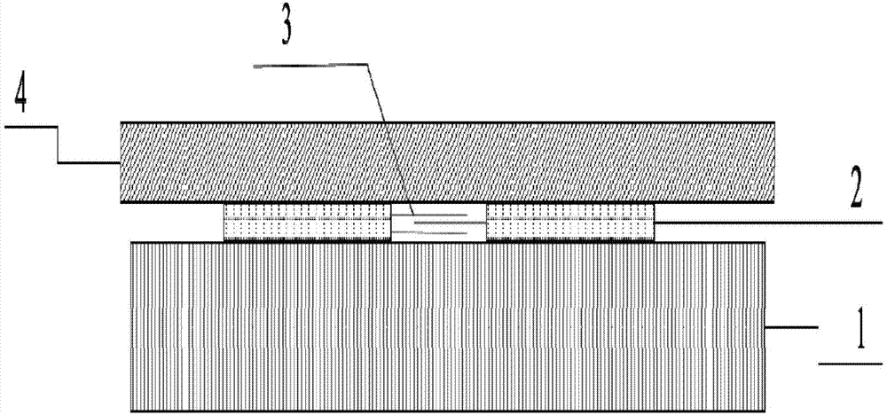 Nanometer flexible blood glucose microsensor and preparation method thereof