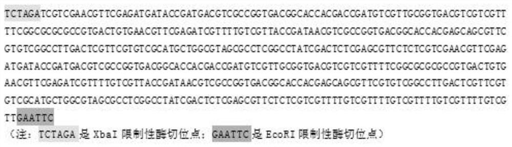 A kind of cpg-odn with specific immunostimulatory effect on prrsv and application thereof