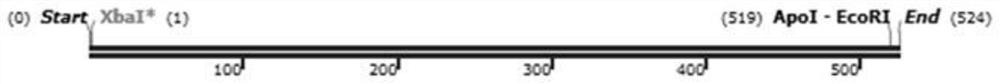 A kind of cpg-odn with specific immunostimulatory effect on prrsv and application thereof