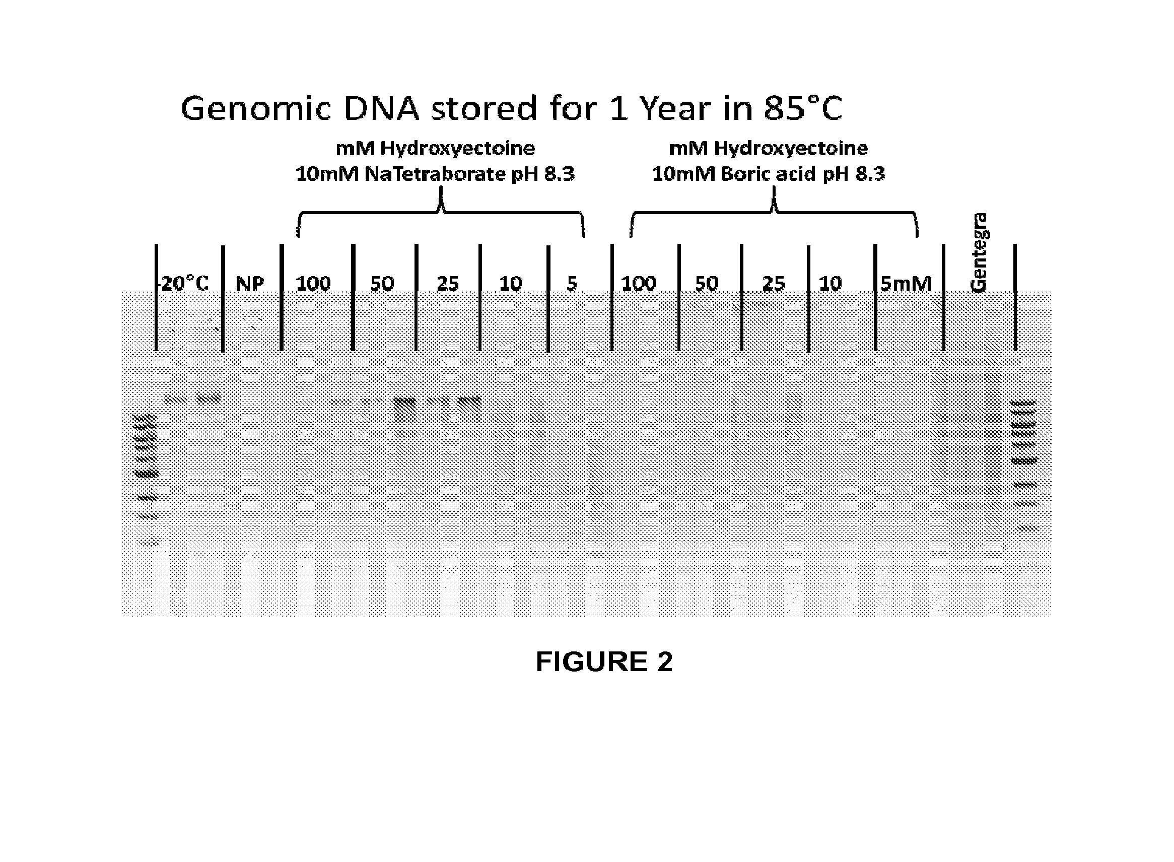 Compositions and methods for biological sample storage