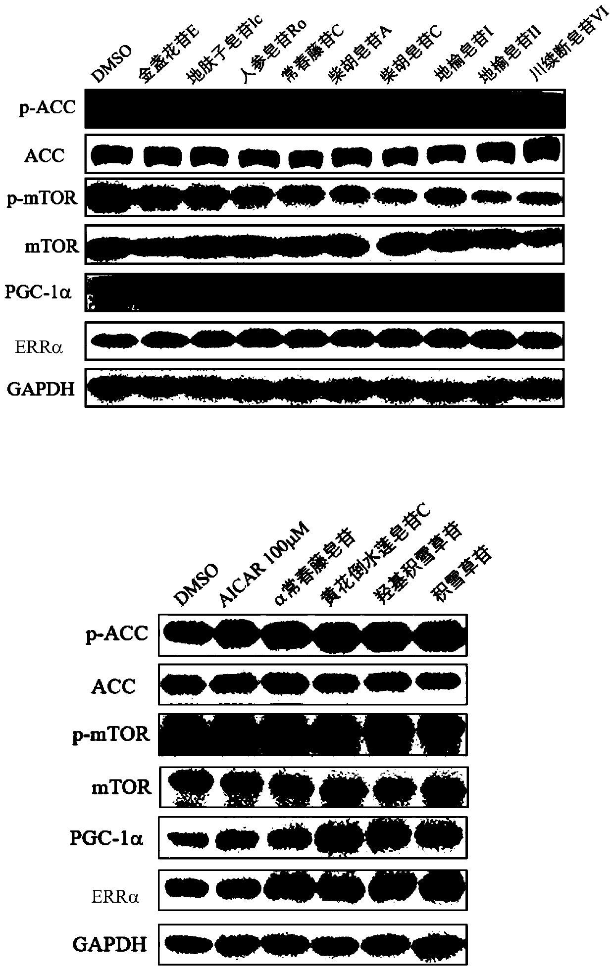 Medical use of pentacyclic triterpenoid saponin and pharmaceutical composition thereof