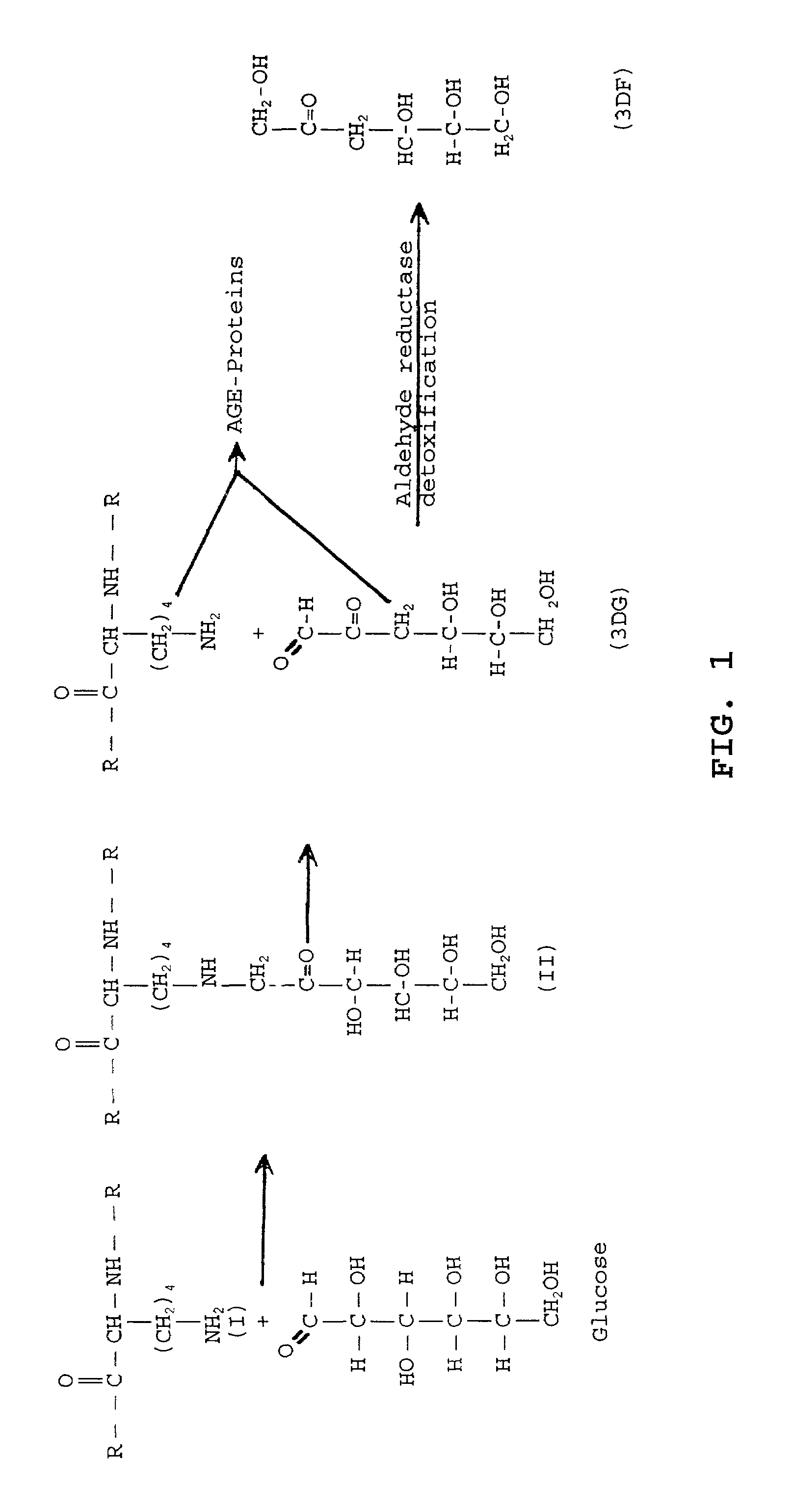 Compounds and methods for treating glycogen storage disease and other pathological conditions resulting from formation of age-proteins