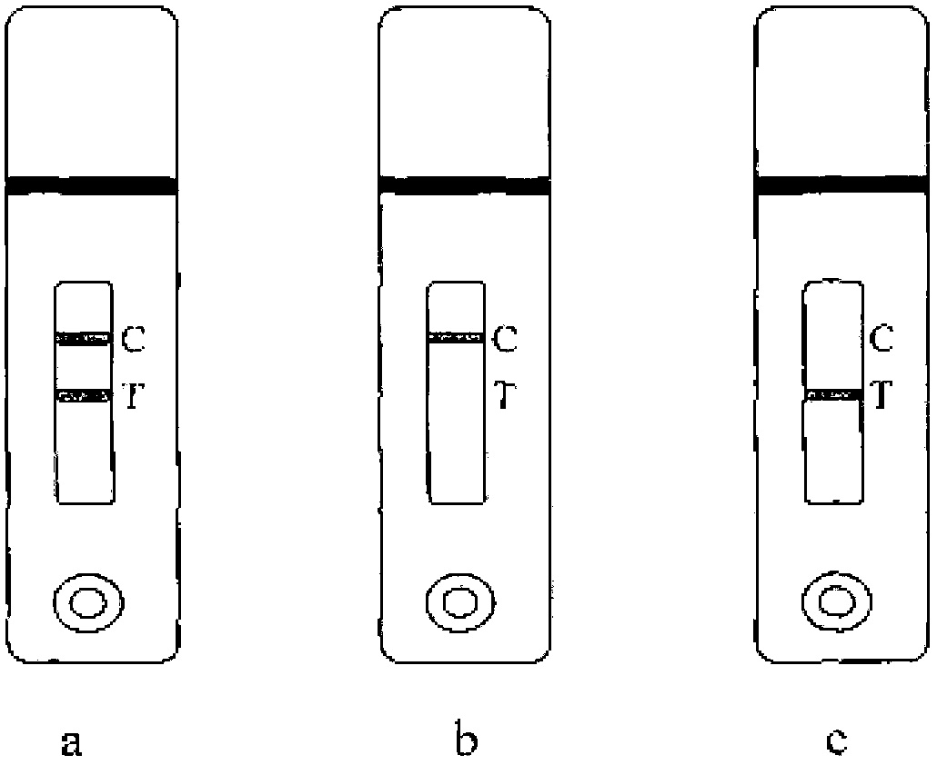 Colloidal gold test paper strip for residue detection of tylosin and tilmicosin, method for using colloidal gold test paper strip and application of colloidal gold test paper strip