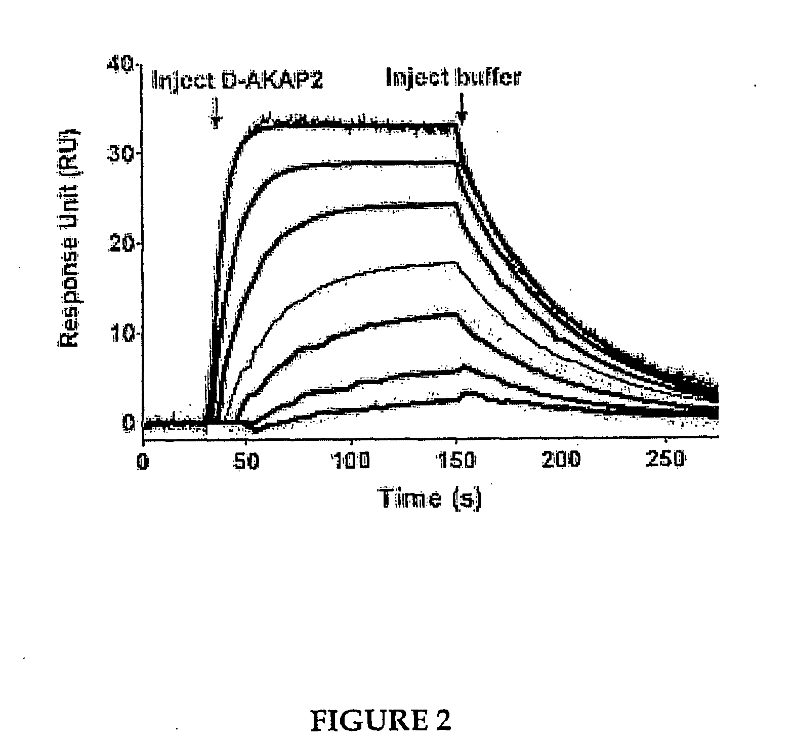 Methods for high resolution identification of solvent accessible amide hydrogens in polypeptides and for characterization of polypeptide structure