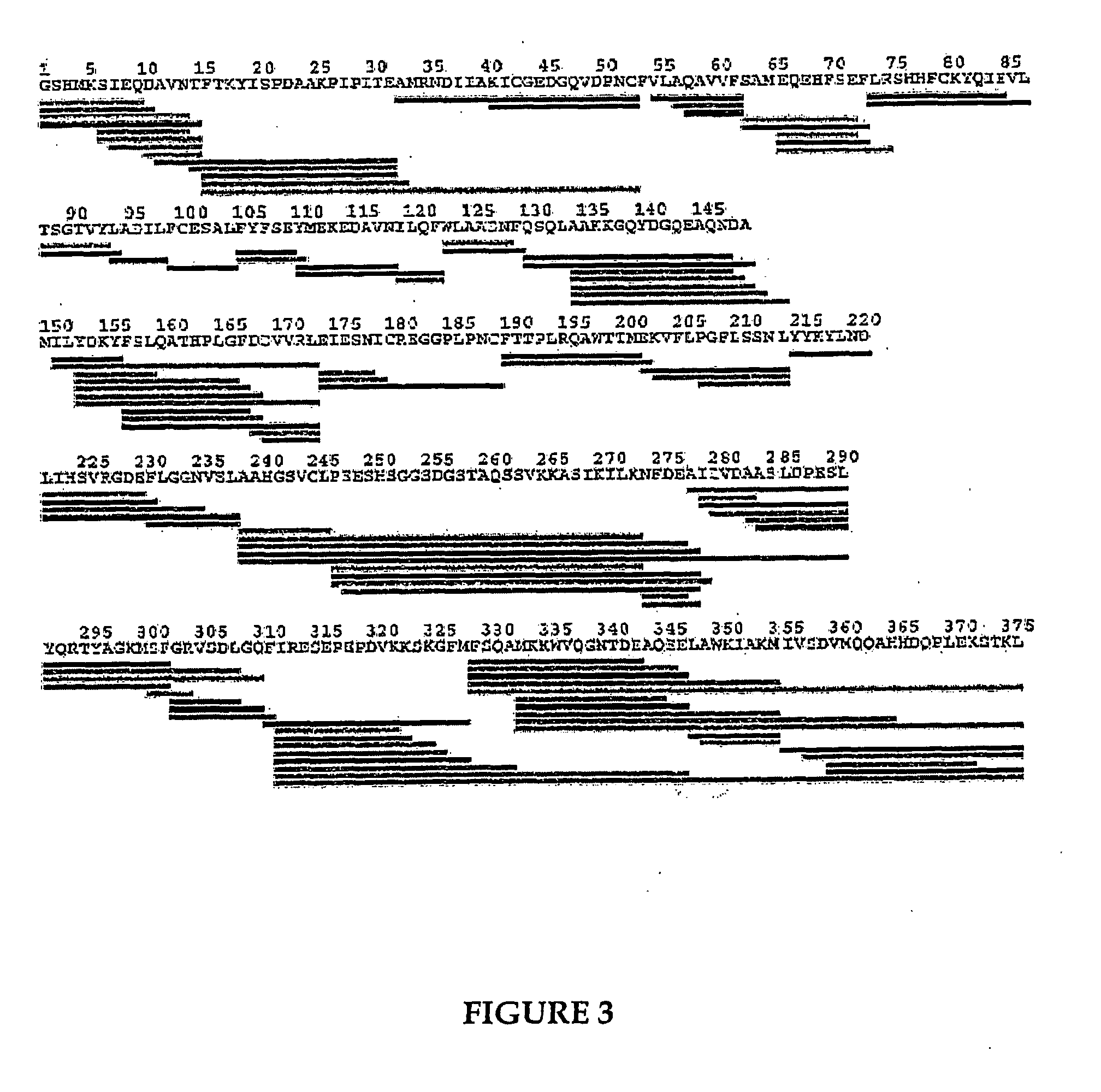 Methods for high resolution identification of solvent accessible amide hydrogens in polypeptides and for characterization of polypeptide structure