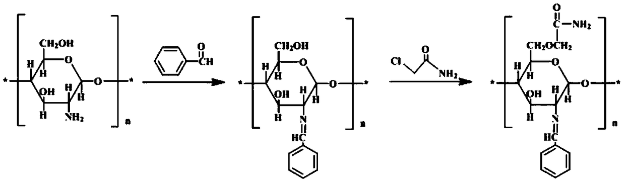 A kind of O-acetamide chitosan Schiff base and preparation method thereof