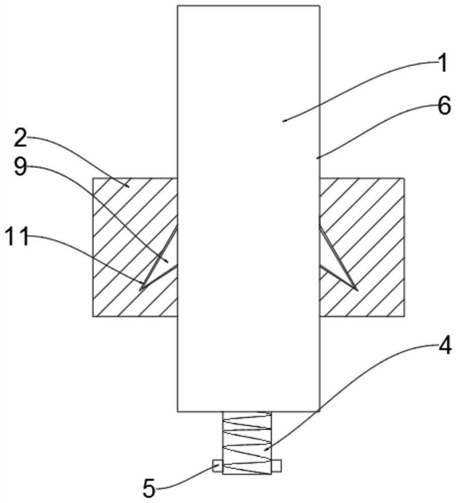 Positioning pin rotor assembly