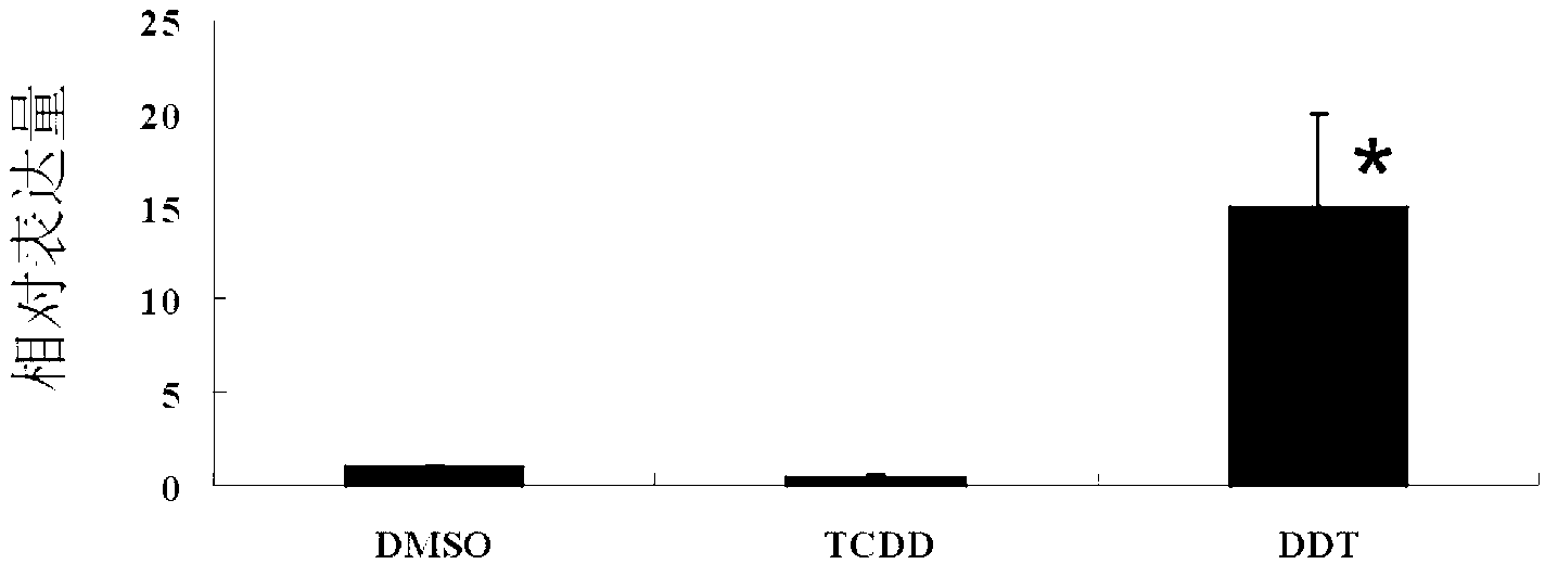 CYP5013C2 protein and coding gene thereof, and tetrahymena expressing CYP5013C2 protein