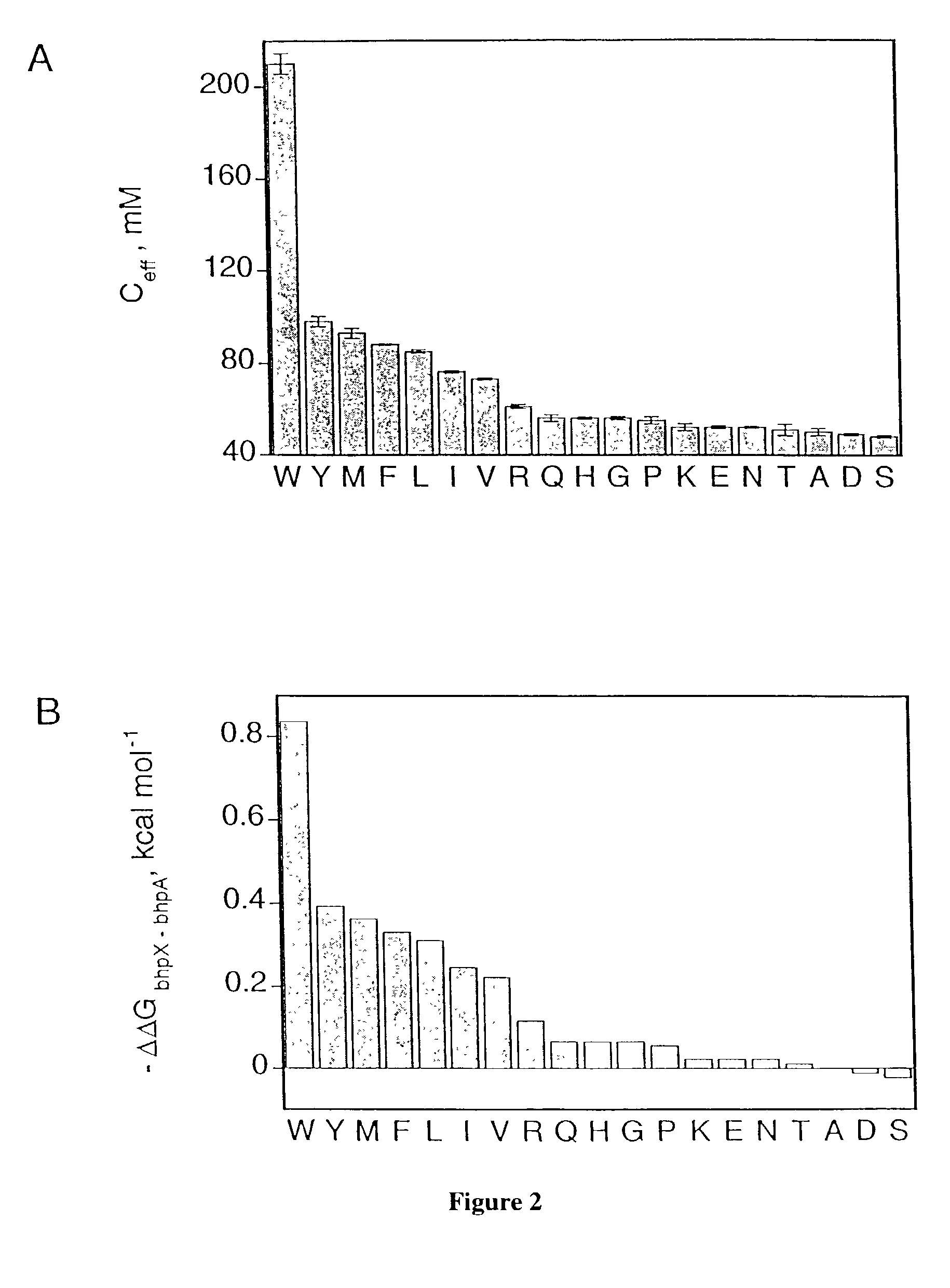 Structured peptide scaffold for displaying turn libraries on phage