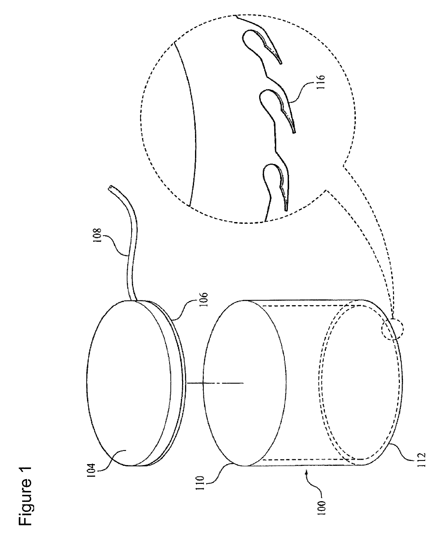 Skin screw electrodes