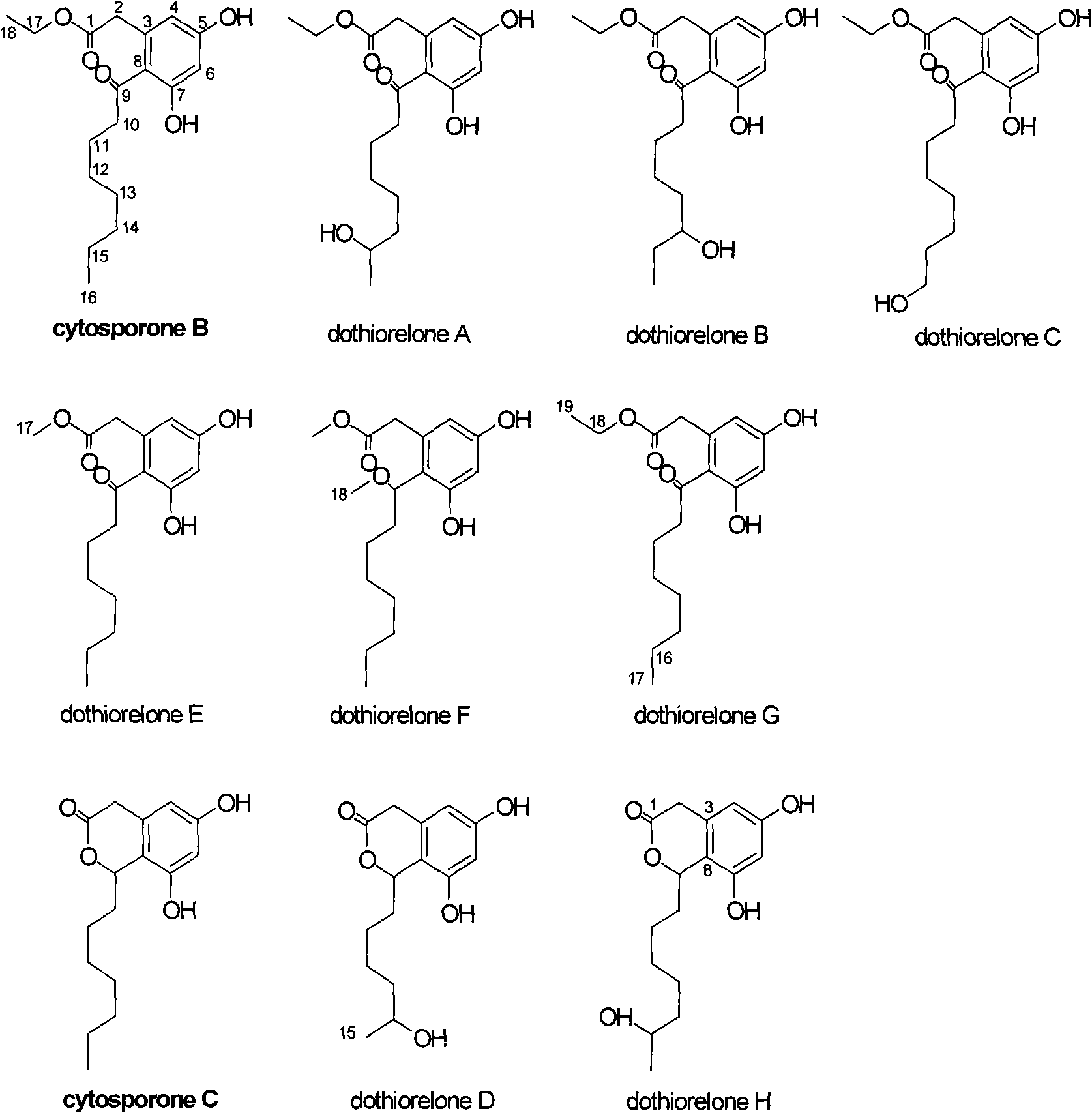 Substituted phenol and application thereof as receptor TR3 excitant