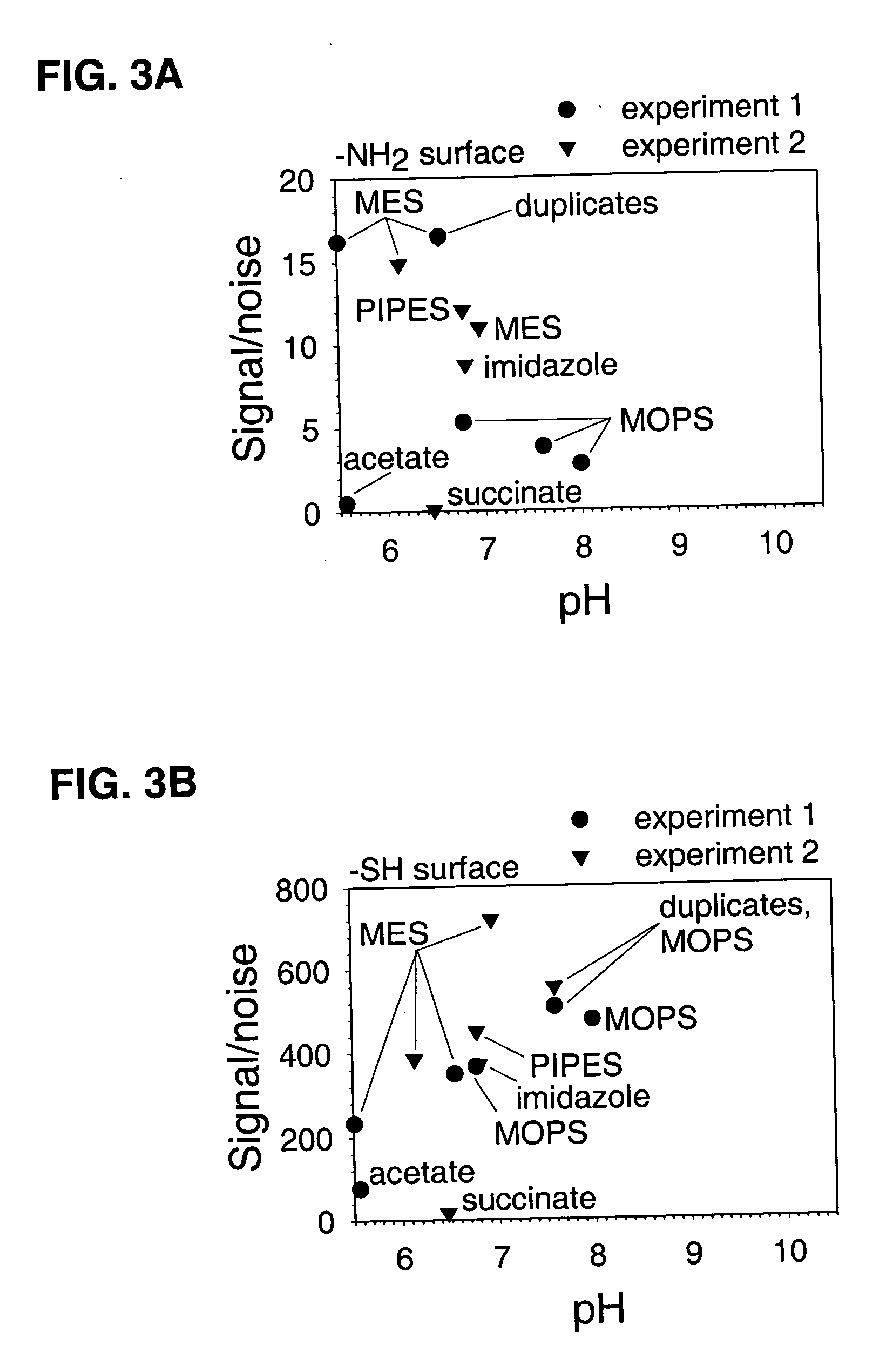 Nucleic acid amplification and detection method