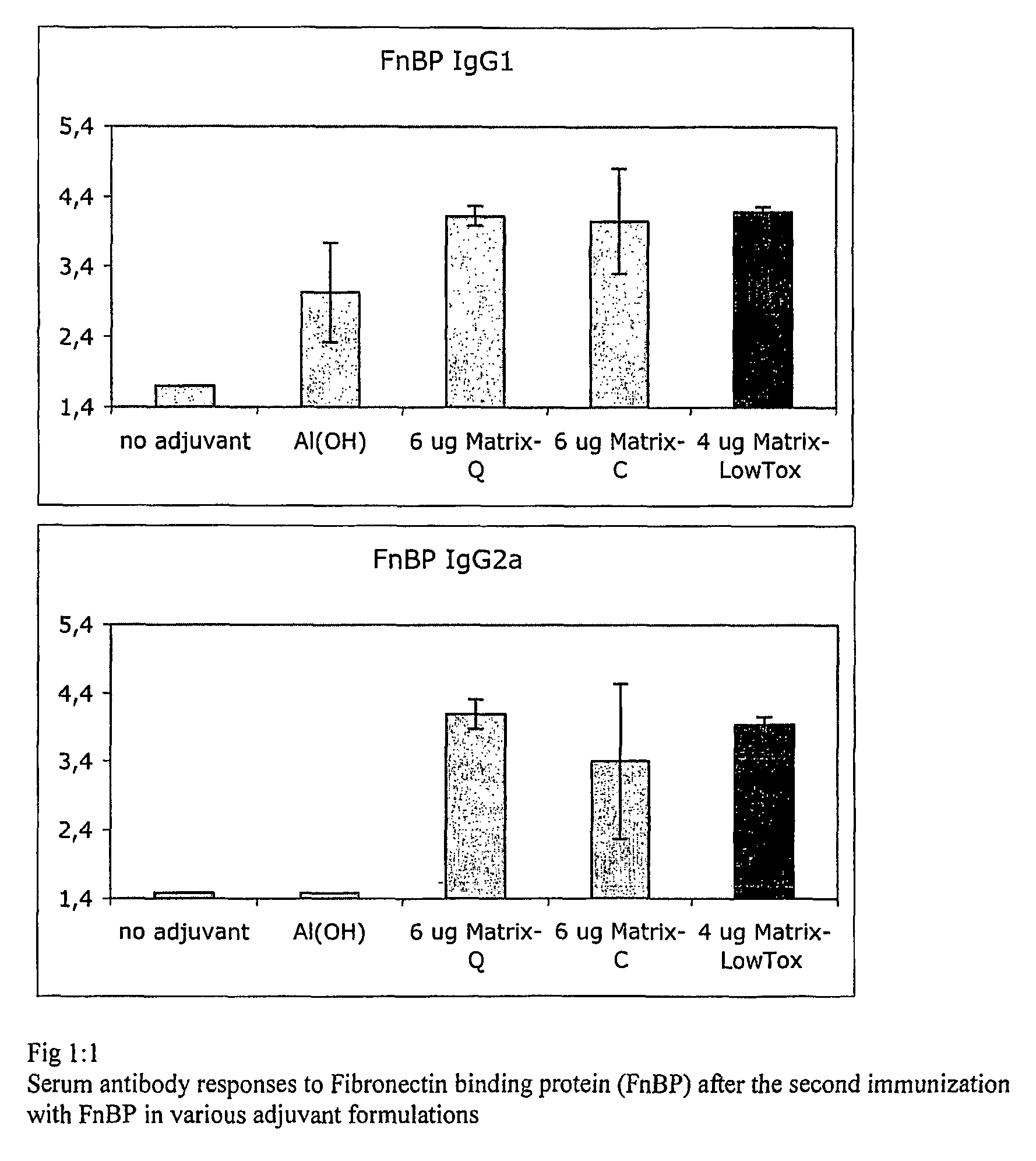 Vaccine composition comprising a fibronectin binding protein or a fibronectin binding peptide