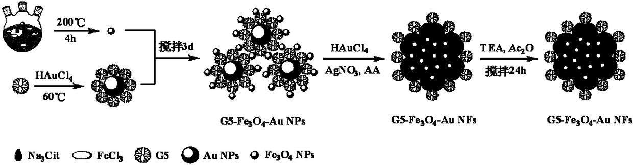Preparation method of tree-like macromolecular and stable ultra-small ferroferric oxide/gold nano-flowers