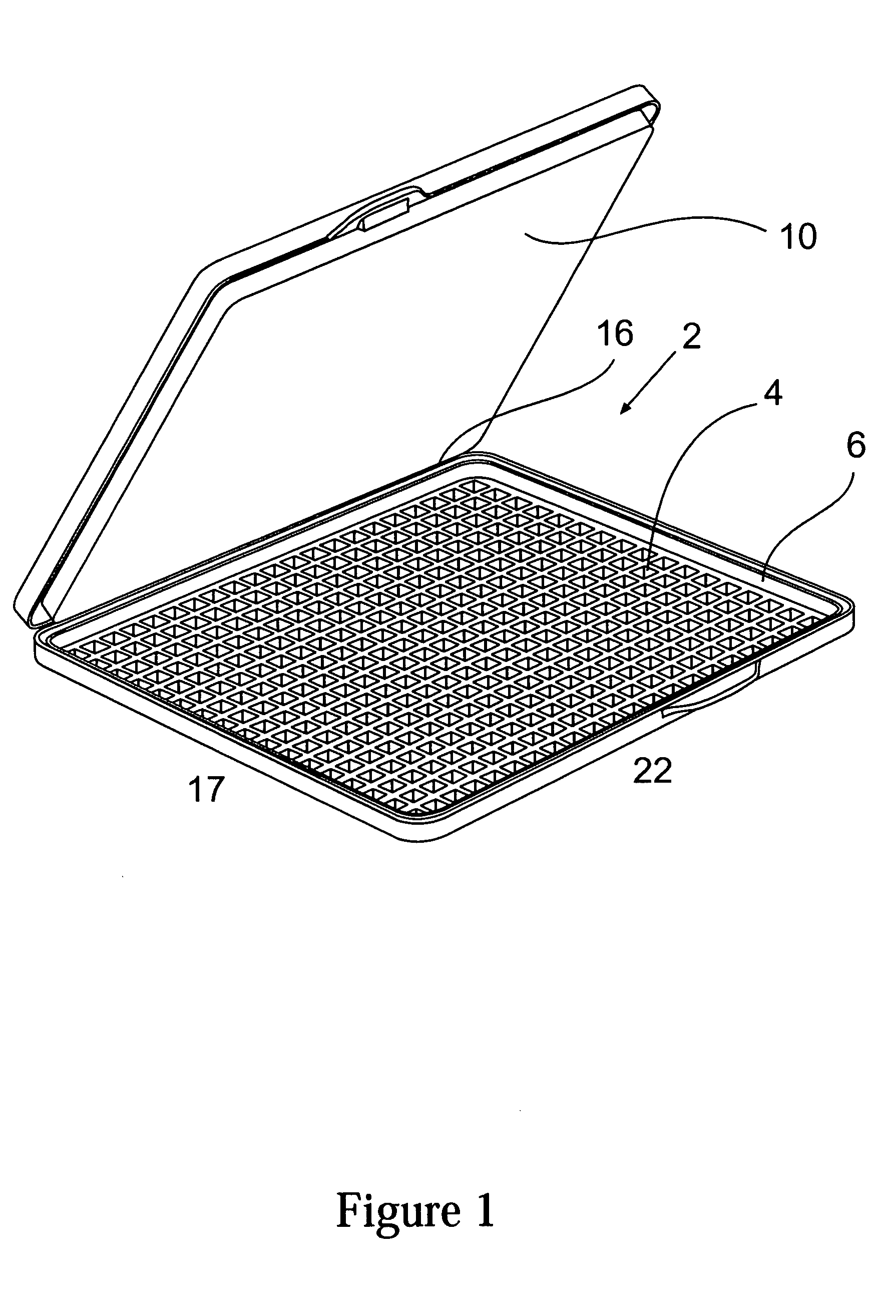 Immunoassay product and process