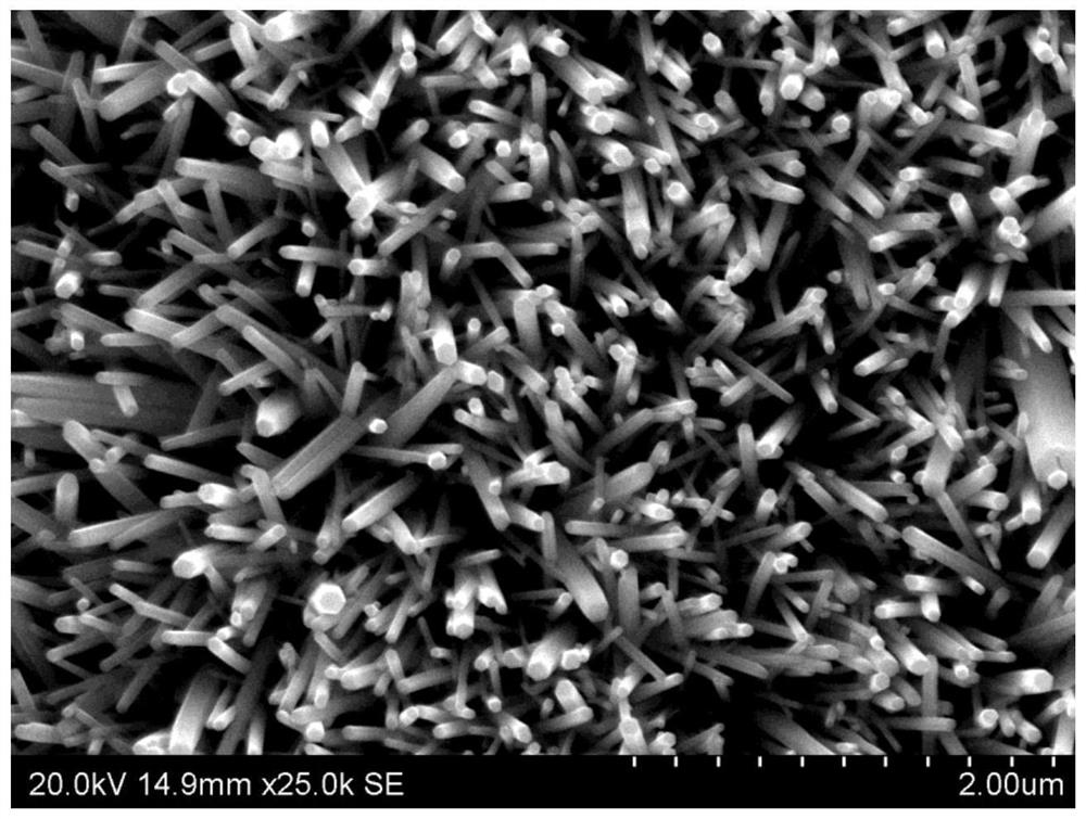 Hydroxyapatite nanorod biological coating and preparation method thereof