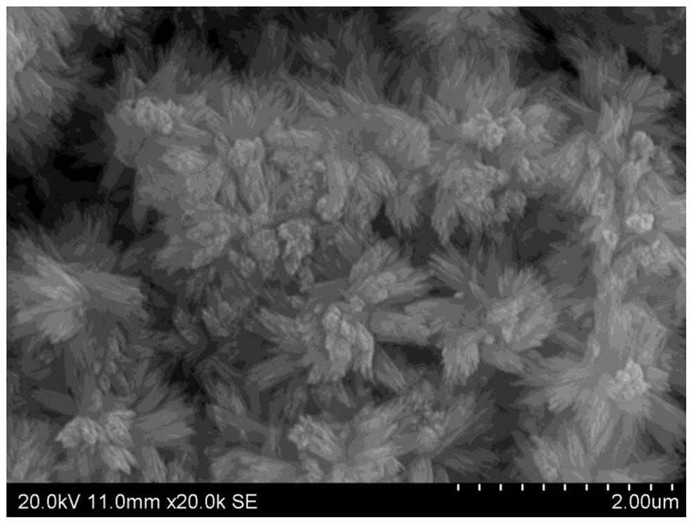 Hydroxyapatite nanorod biological coating and preparation method thereof