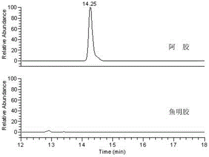 Common polypeptide in animal glue and application thereof in detection