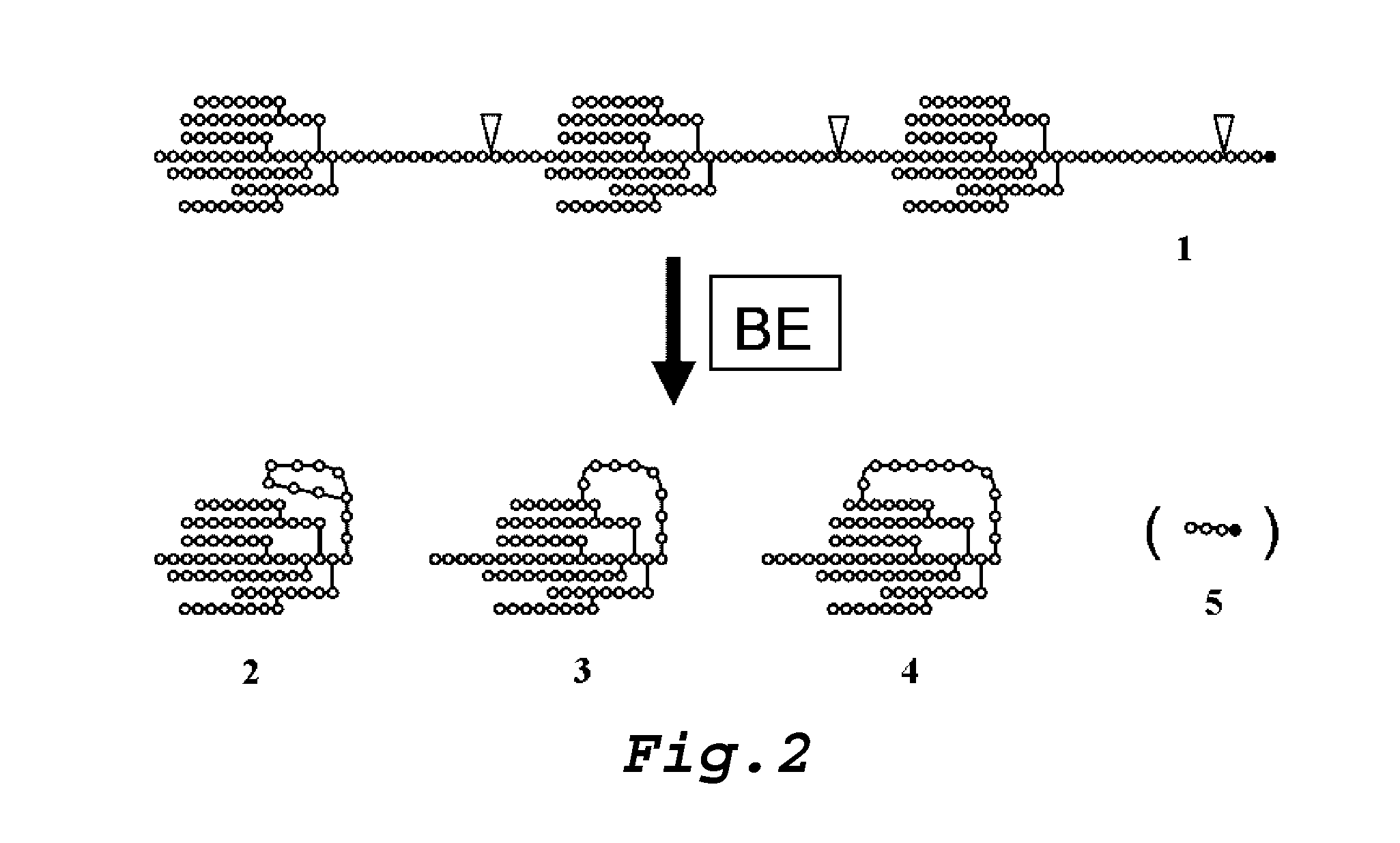 Method for industrially producing cyclic-structure-containing branched glucan