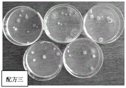 A kind of natural air cleaner and preparation method thereof