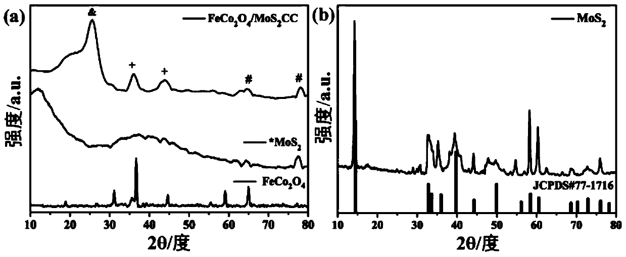 Preparation method of carbon cloth-based ferric cobaltate/molybdenum disulfide graded structure electrode material