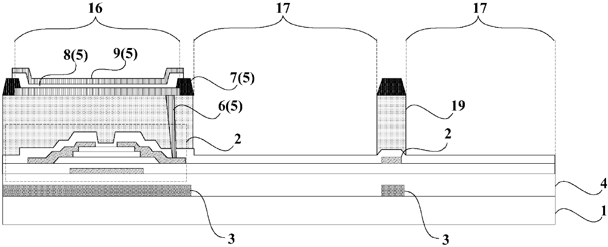 Transparent display panel, transparent display device and manufacturing method of transparent display panel