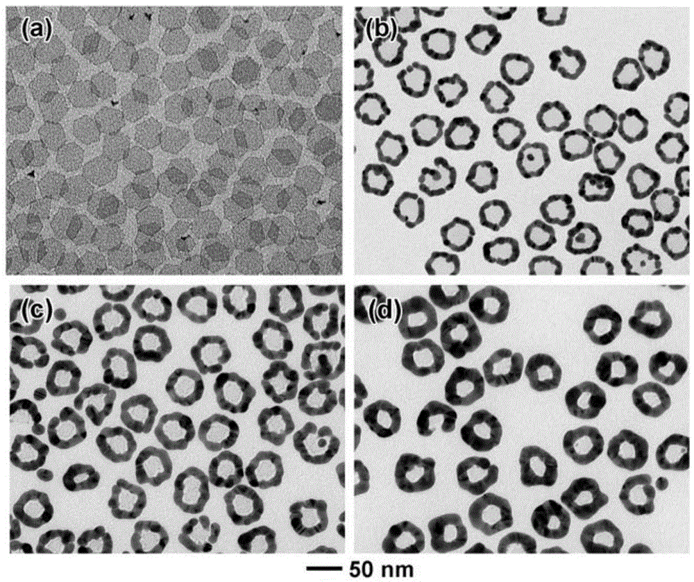 Preparation method for gold nanoring