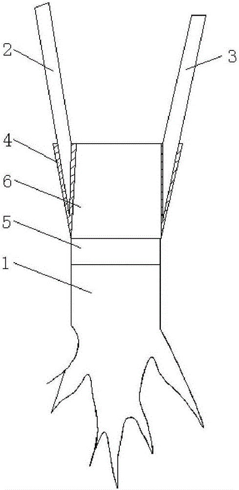 Combined grafting method of prunus persica, amygdalus triloba and prunus cerasifera