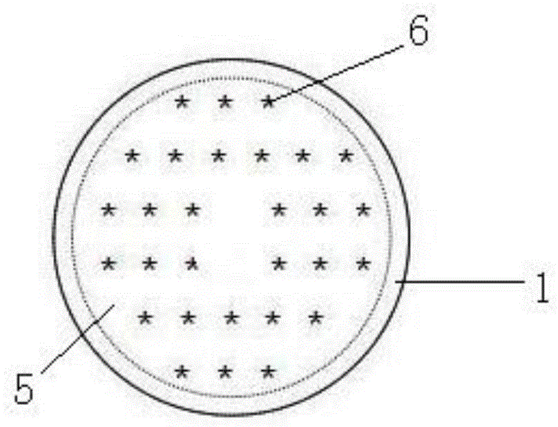 Photocatalytic air purification device based on dispersive optical fiber