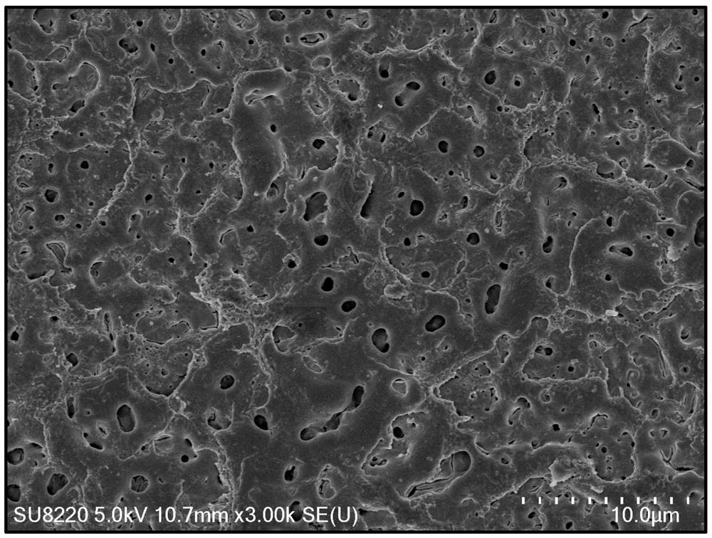 FeOOH/Fe3O4/WO3/TiO2 photo-Fenton catalytic membrane as well as preparation method and application thereof