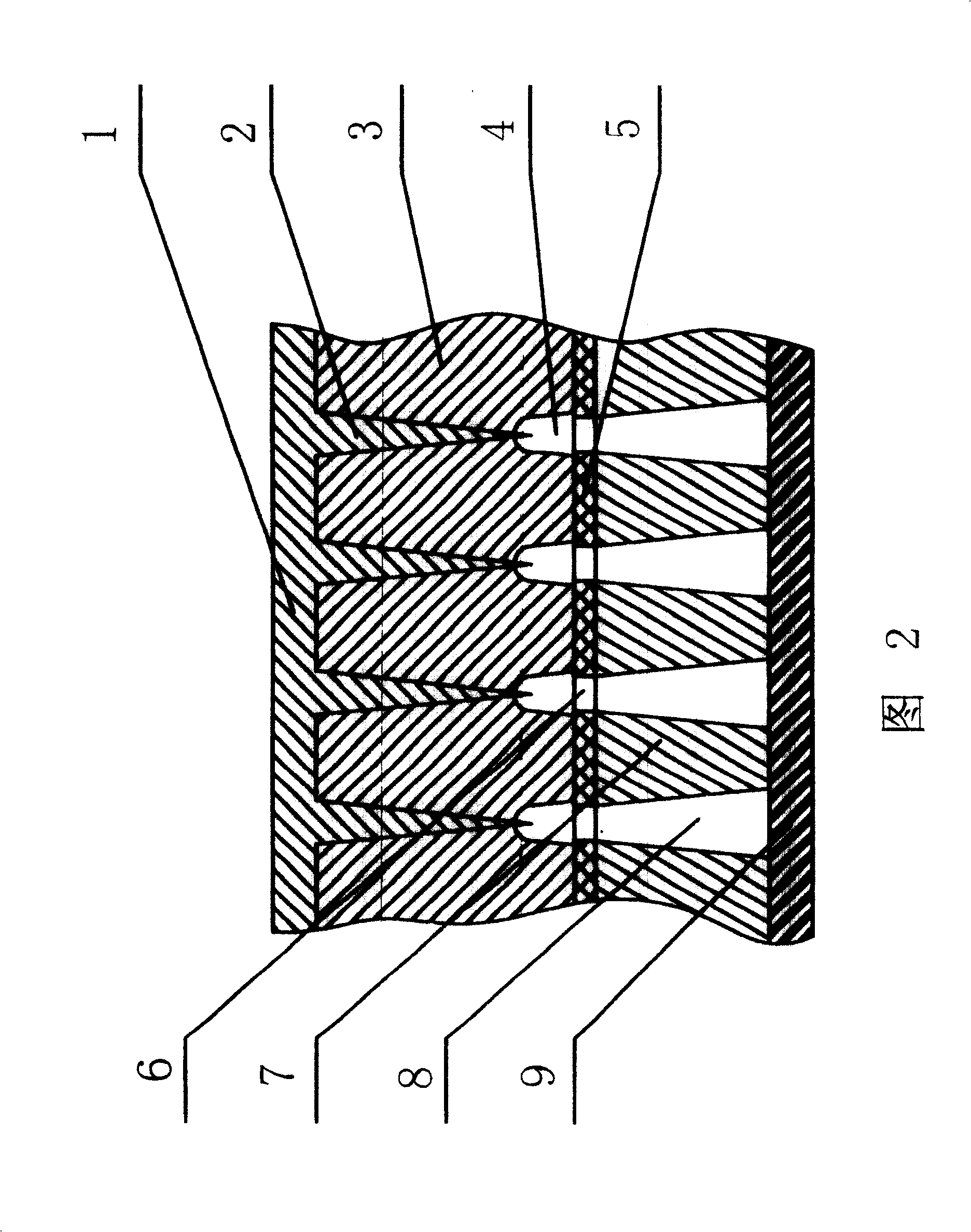 Mfg. field emitting vacuum microelectronic element by utilizing nulear track tech and display thereof