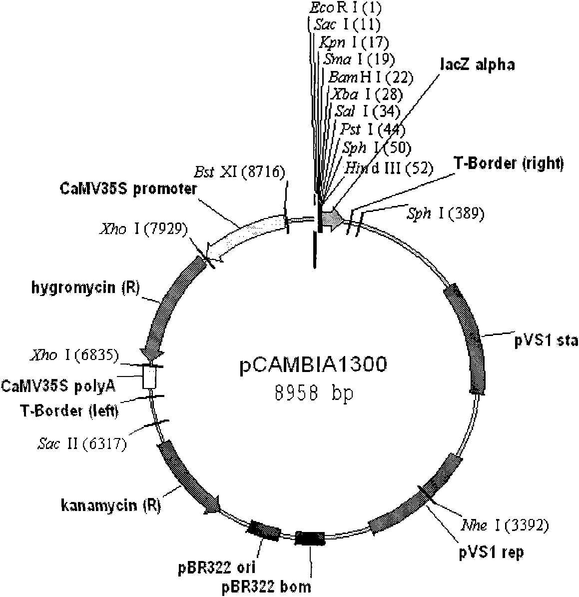 Method for controlling plant type of rice