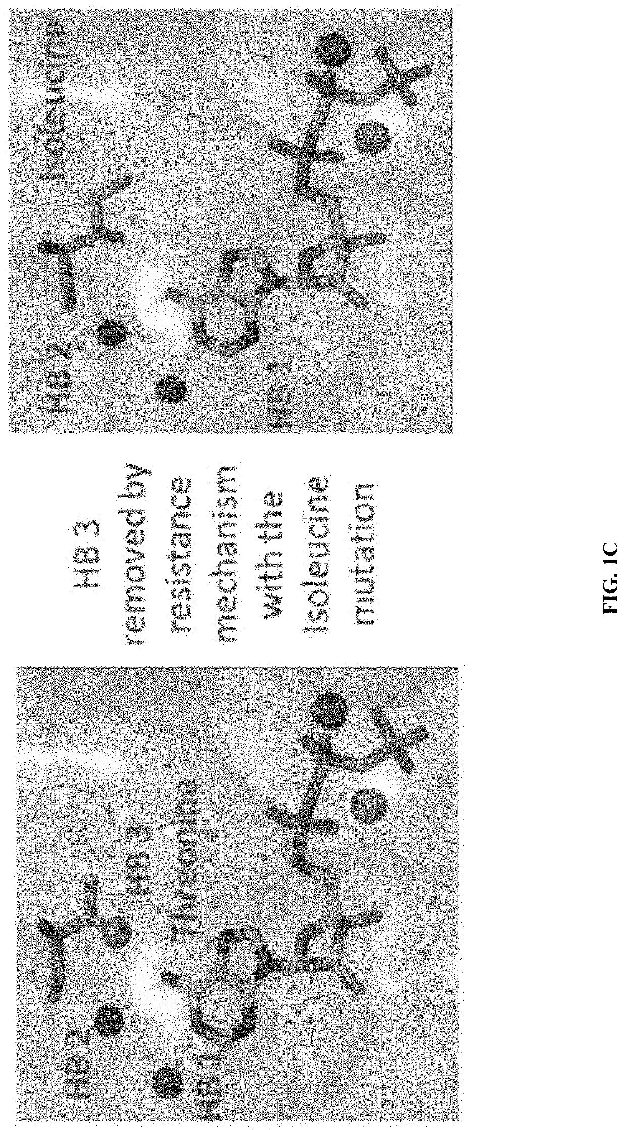 Methods and systems for determination of an effective therapeutic regimen and drug discovery