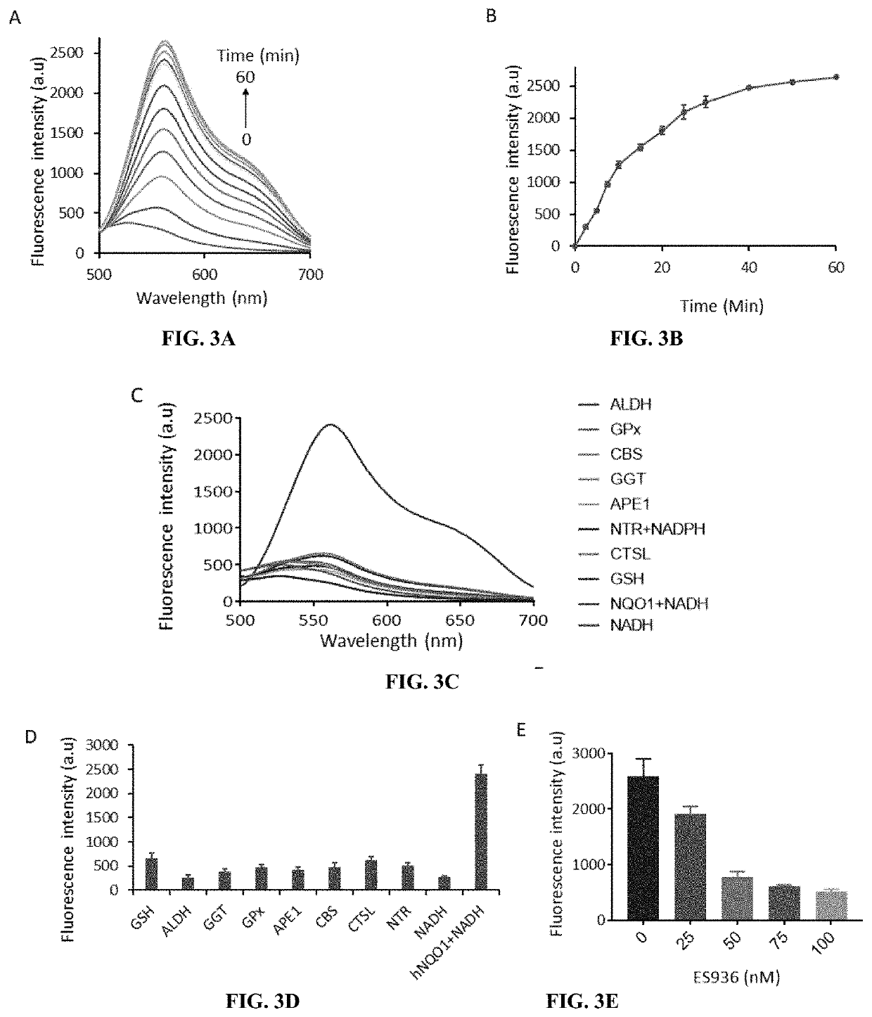 Hnqo1-activatable fluorescent probe for imaging cancer cells in-vitro and in-vivo