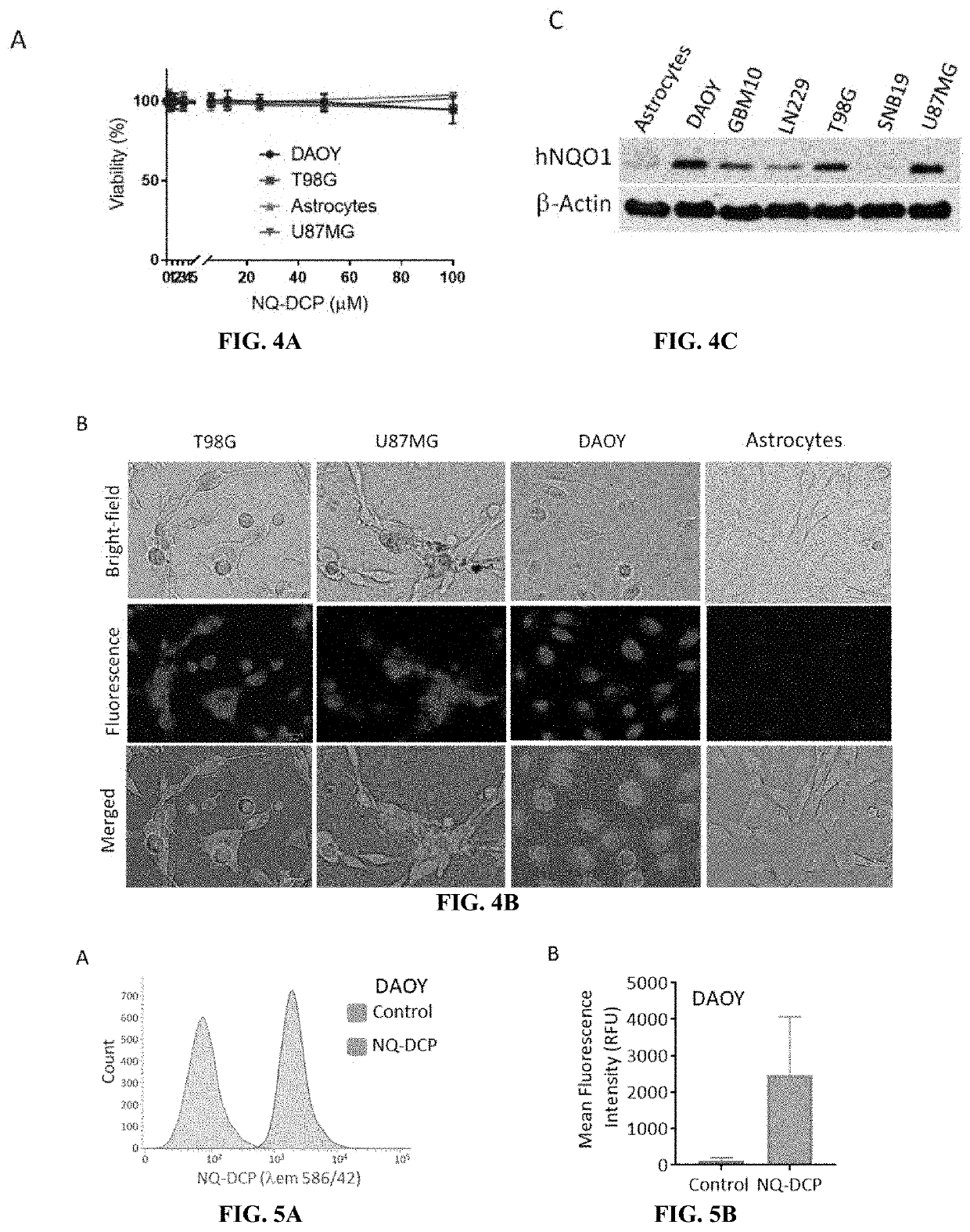 Hnqo1-activatable fluorescent probe for imaging cancer cells in-vitro and in-vivo