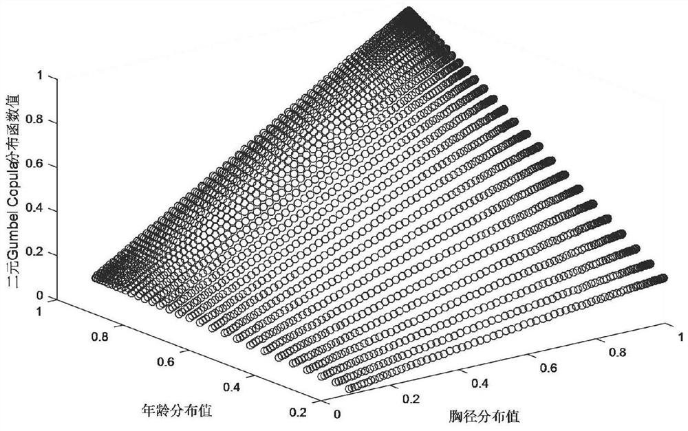 Construction method of moso bamboo breast-diameter age joint distribution dynamic model