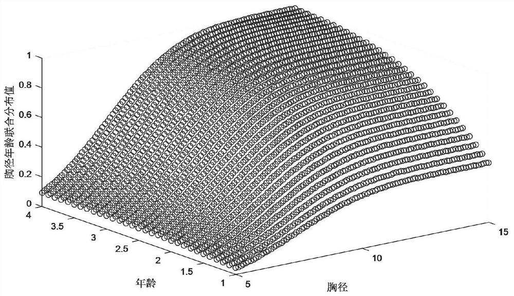 Construction method of moso bamboo breast-diameter age joint distribution dynamic model
