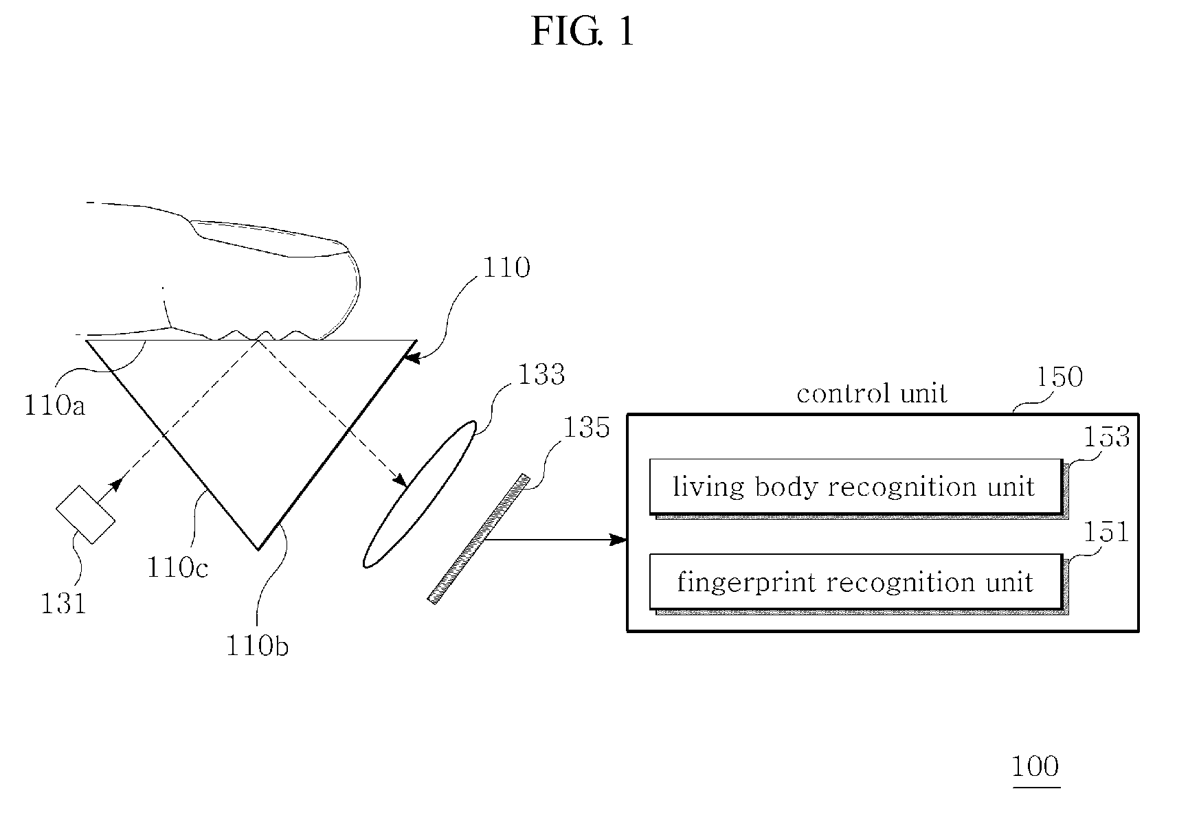 Apparatus for distinguishing living body fingerprint and method thereof