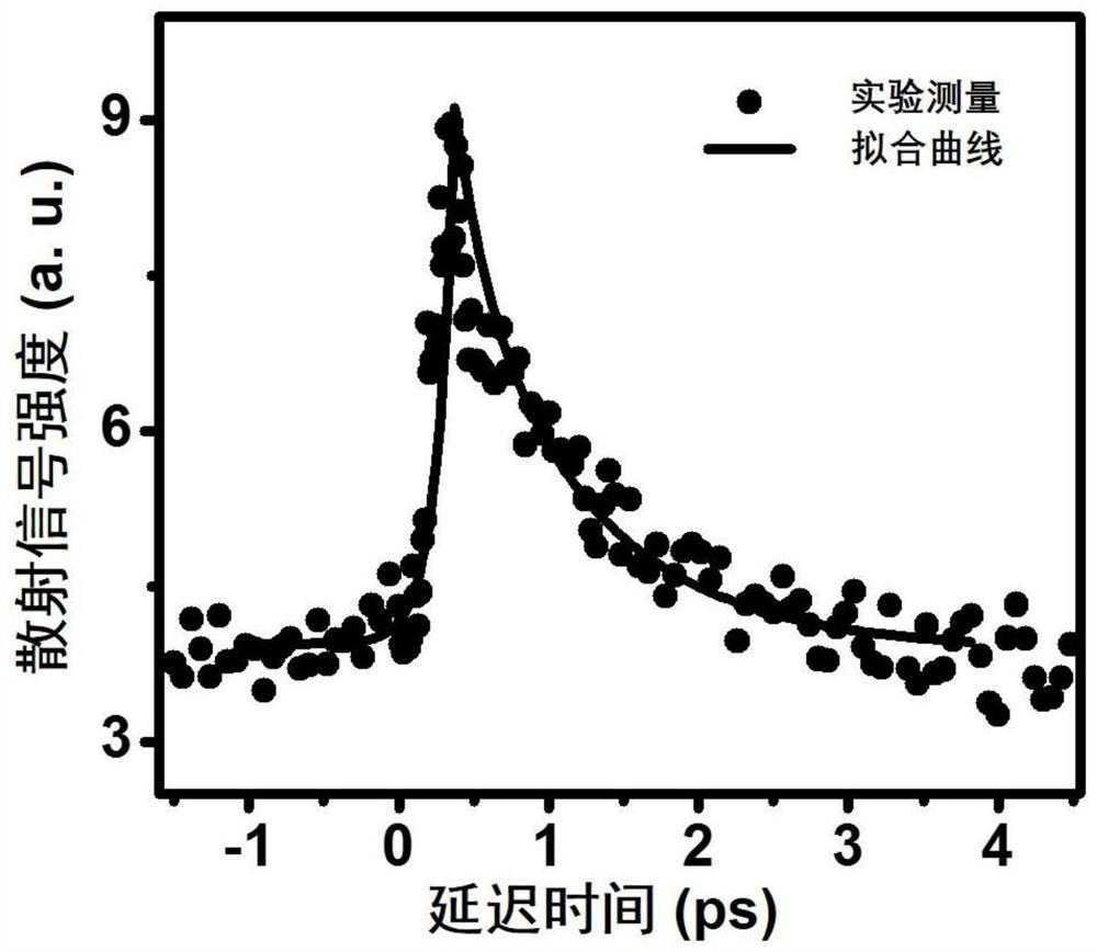 Femtosecond laser pumped detection system and method for measuring dynamic process of soot particles