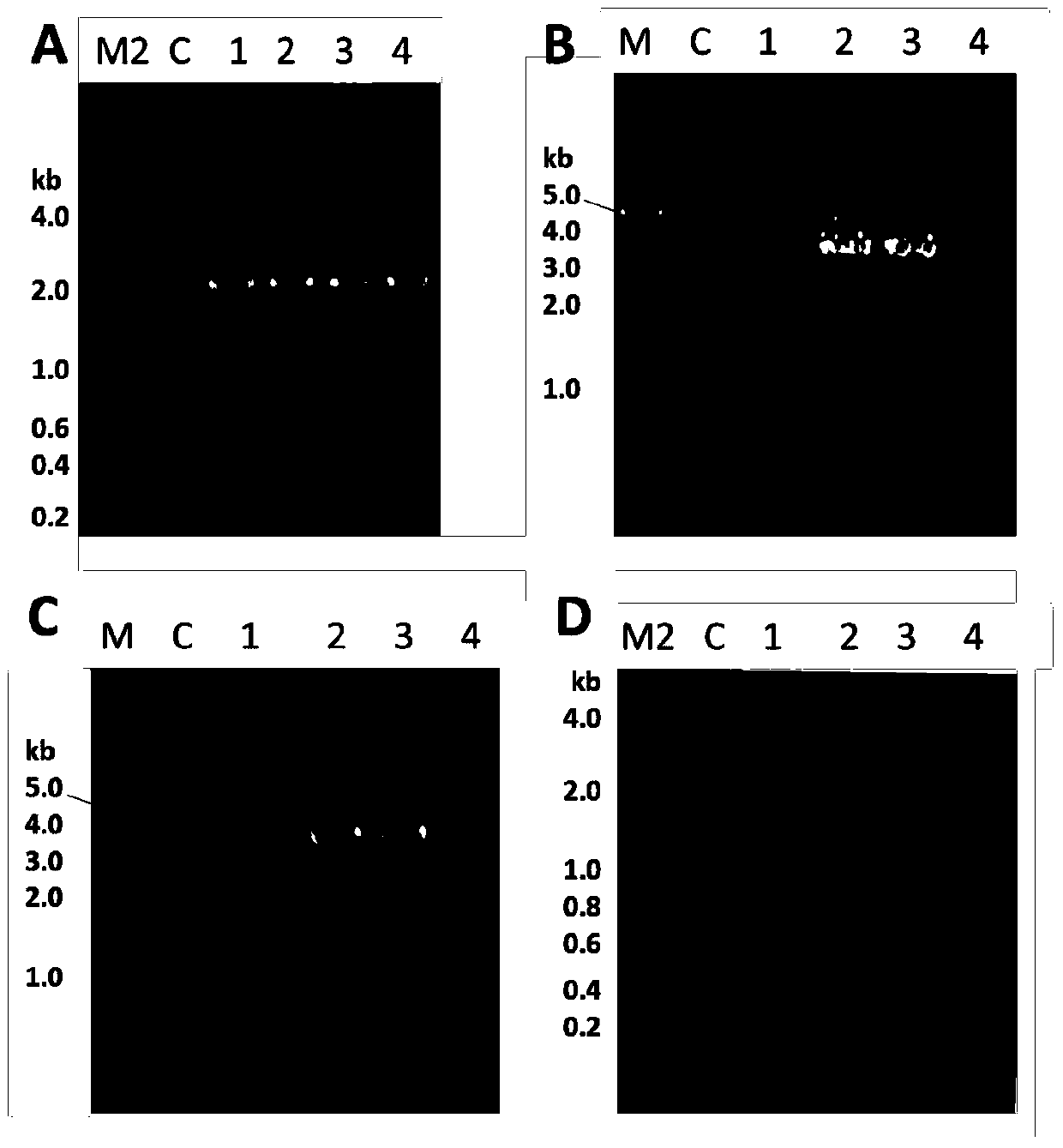 A method and application of excision screening label