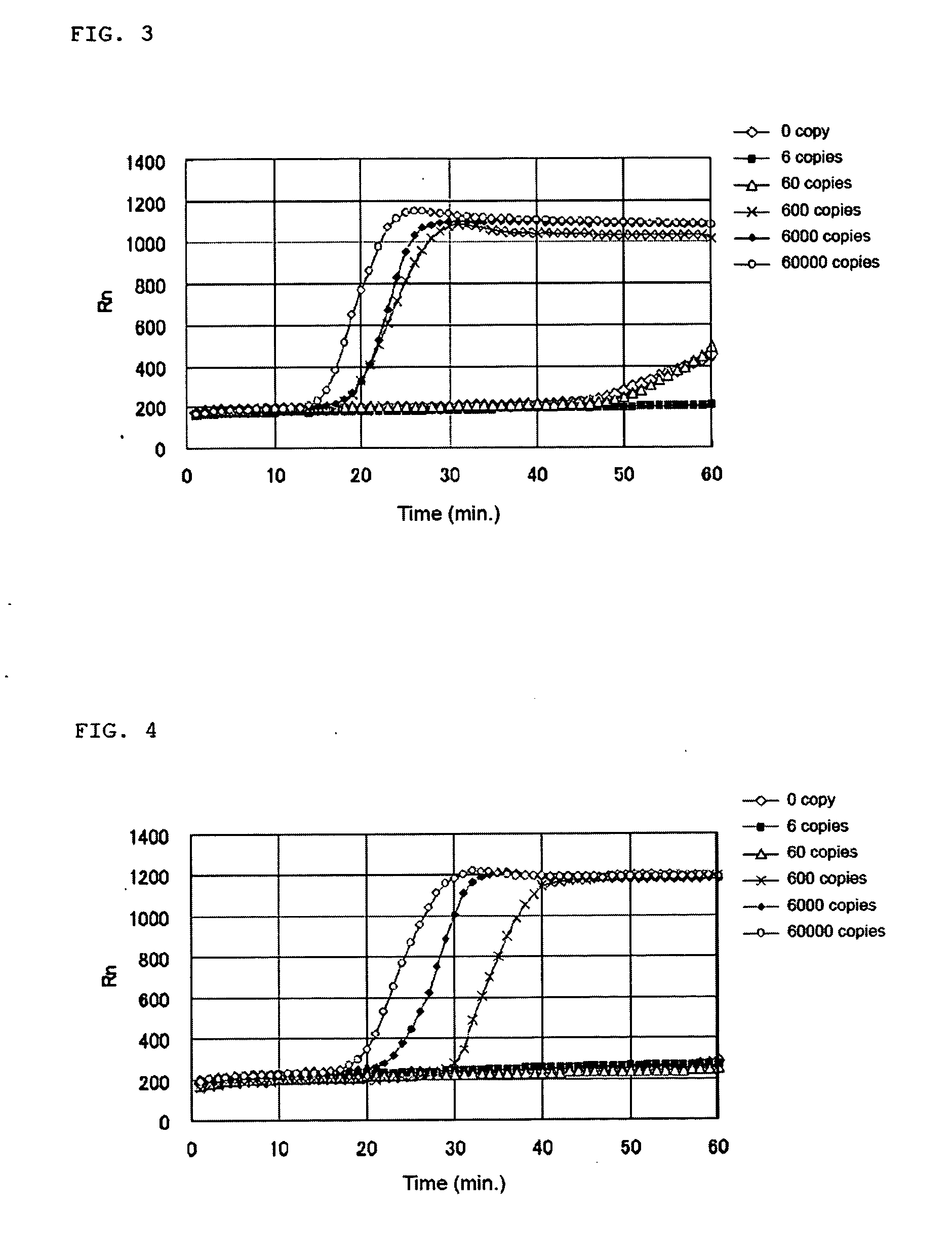 Nucleic acid amplification primers for detecting cytokeratins and examination method with the use of the primers