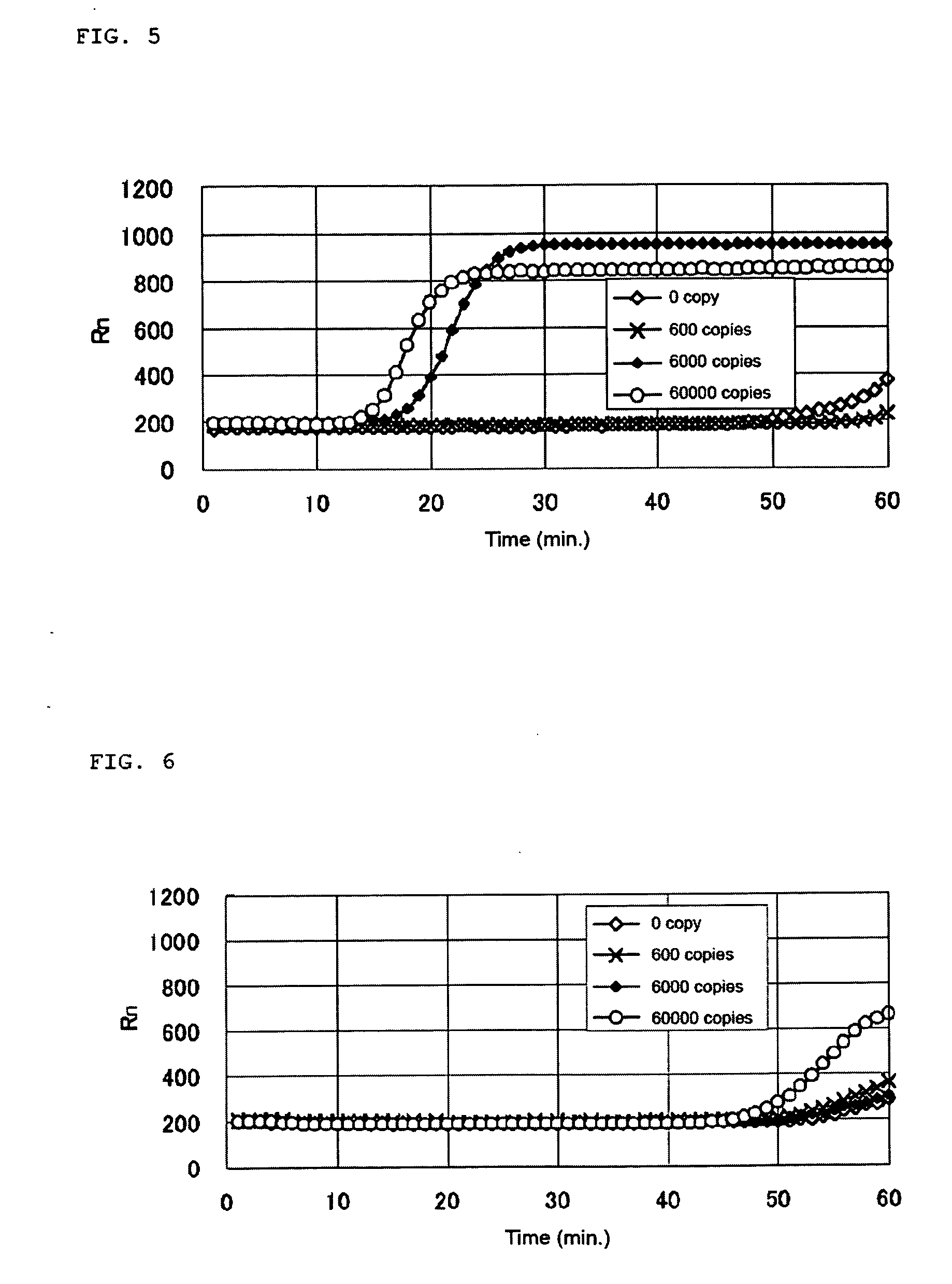 Nucleic acid amplification primers for detecting cytokeratins and examination method with the use of the primers
