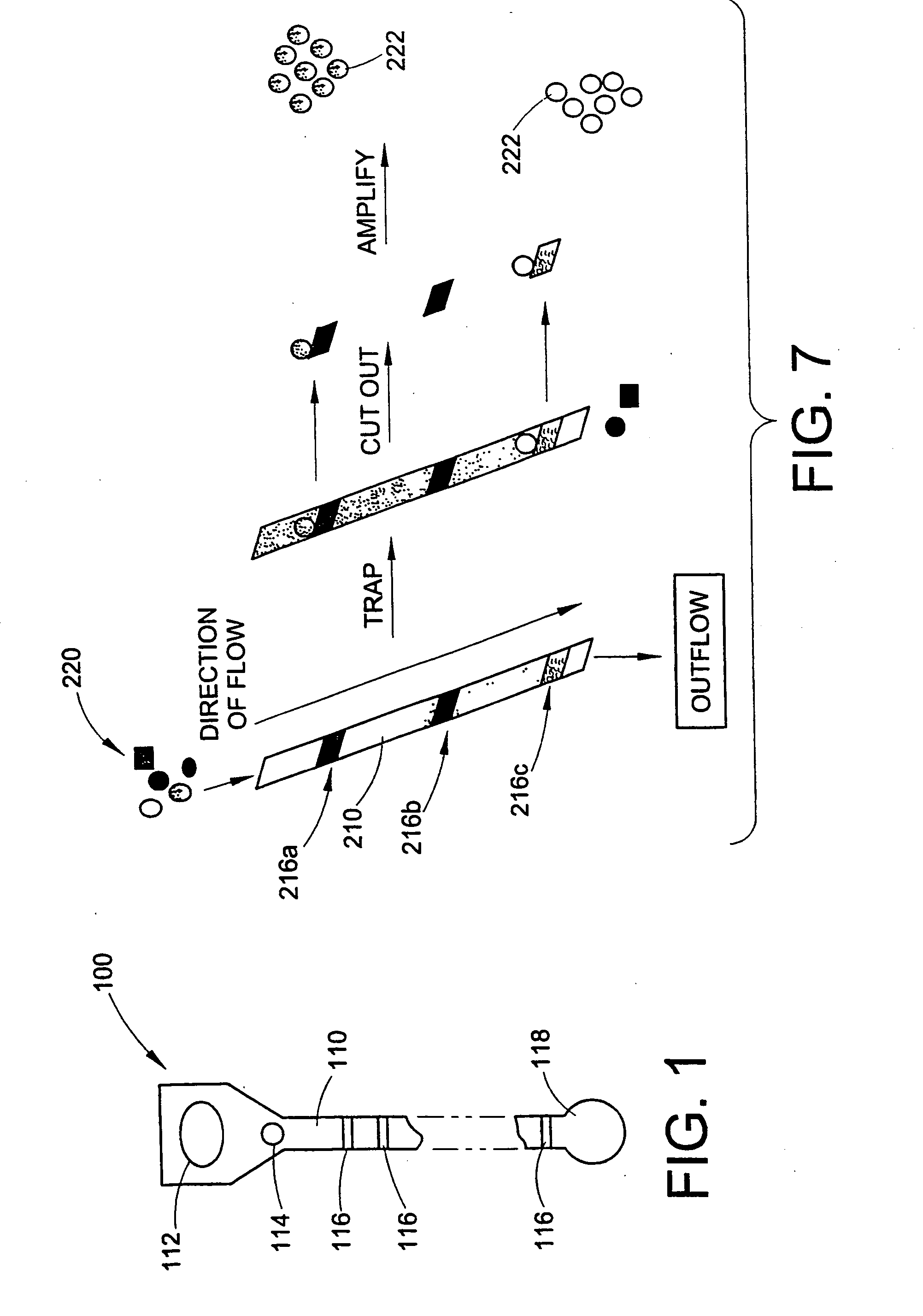 Method and apparatus for signal transduction pathway profiling