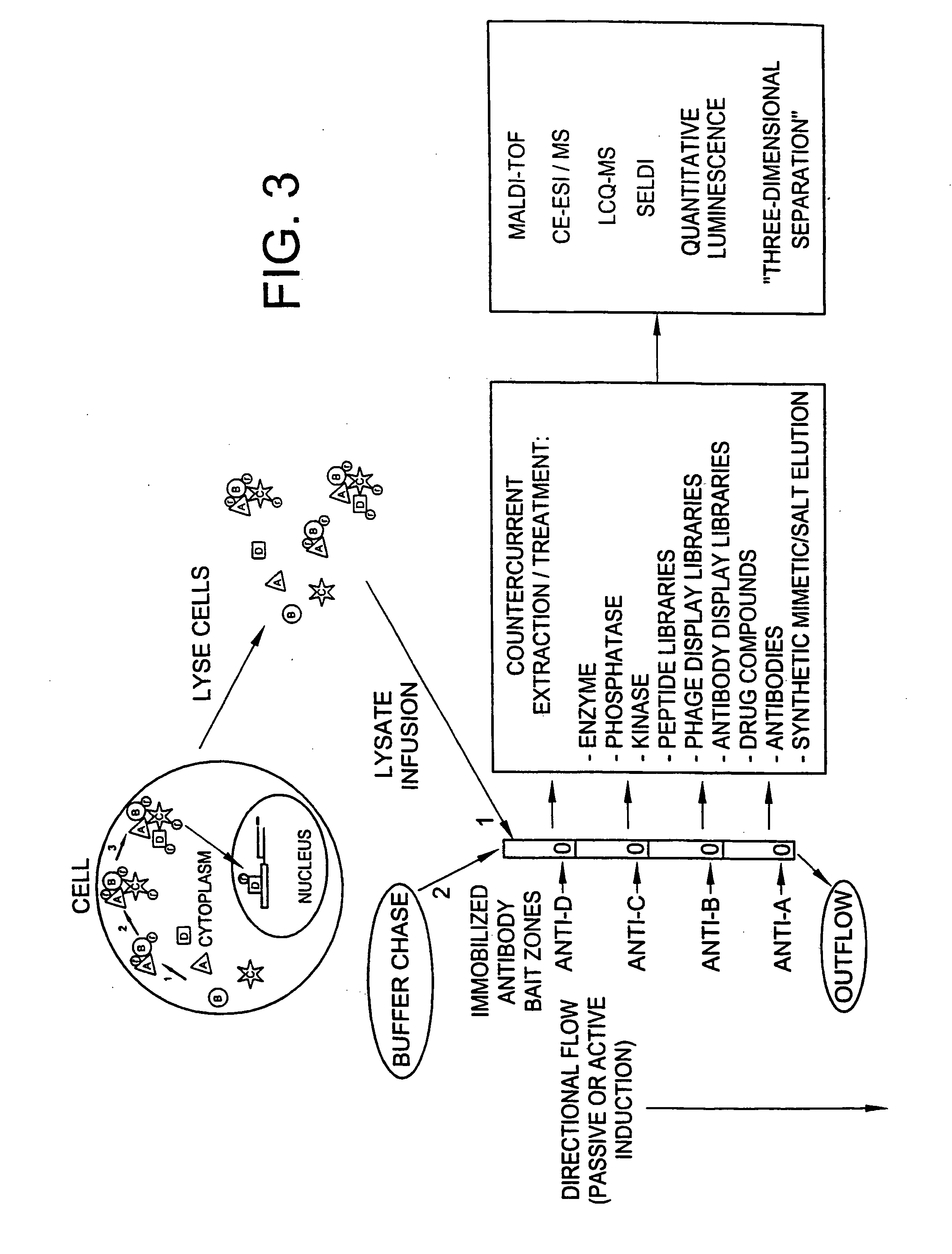 Method and apparatus for signal transduction pathway profiling
