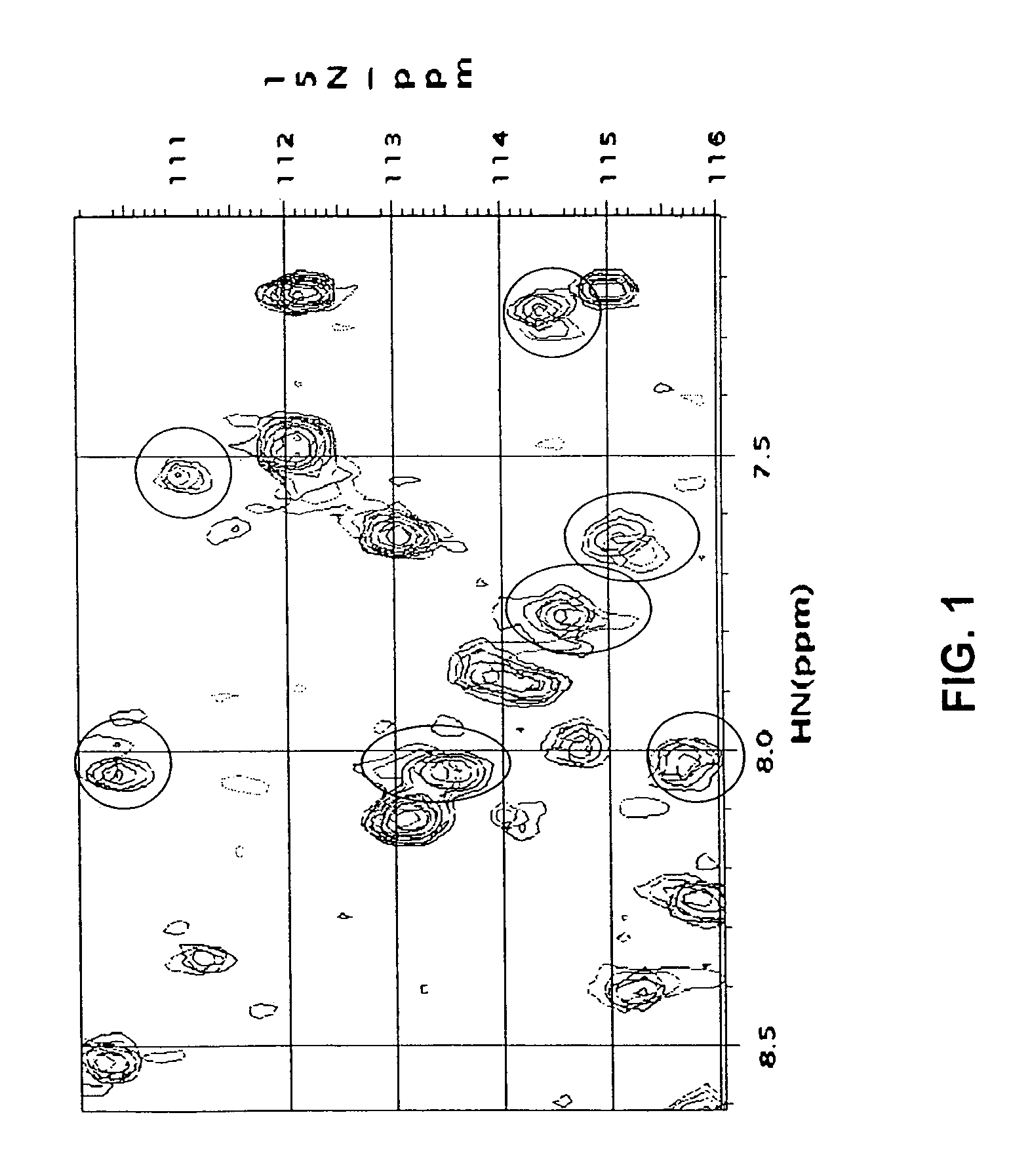 Small molecule inhibitors of anti-apoptotic BCL-2 family members and the uses thereof