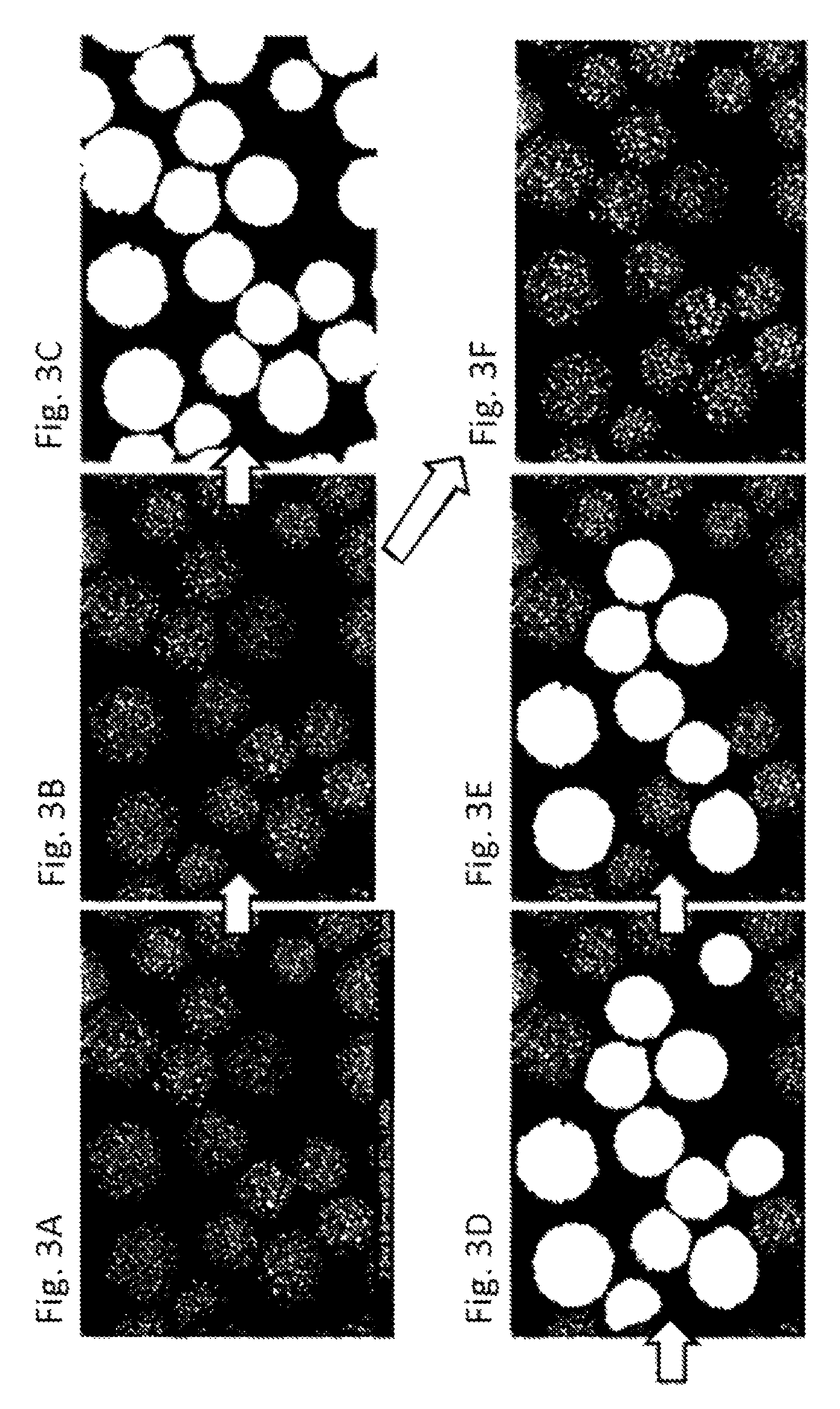 Magnetic carrier and two-component developer